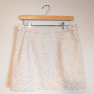 Banana Republic Blush Mini Skirt